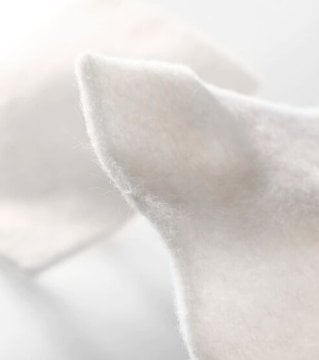 Coloplast Biatain® Alginate Wundverband – Coloplast
