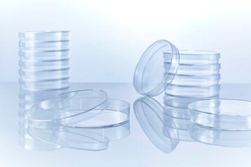 Einmal - Petrischalen (Ø 9,4 cm) (20 Stück) – Greiner Bio-One
