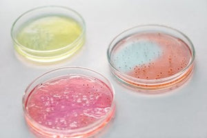 Nutriplate Fertignährböden Für Mikrobiologische Analysen In Der Humanmedizin – Nutriplate