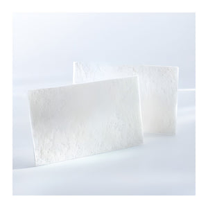 B. Braun Lyostypt® Vlies-Kollagenkompresse – B. Braun