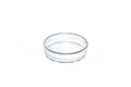 Petrischale mit Nocken (60 x 15 mm) (20 Stück) – Greiner Bio-One
