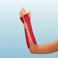 essity Castverband Delta-Cast® Conformable – BSN