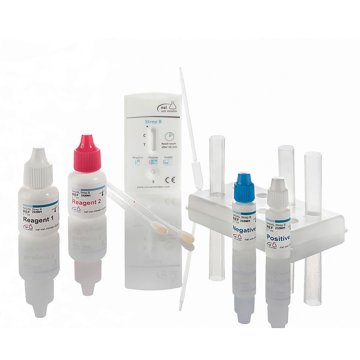 Nadal Strep B Testkassetten (20 Stück) – Medichem