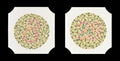 Ishihara Farbtafel mit 38 Tafeln – Trusetal Verbandstoffwerk