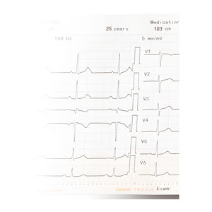Thermopapier Gefaltet Für EKG-9022G / EKG-1250G / 2250 / 3250 – Nihon Kohden