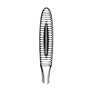 Zepf Kornzangen – Zepf Medical Instruments