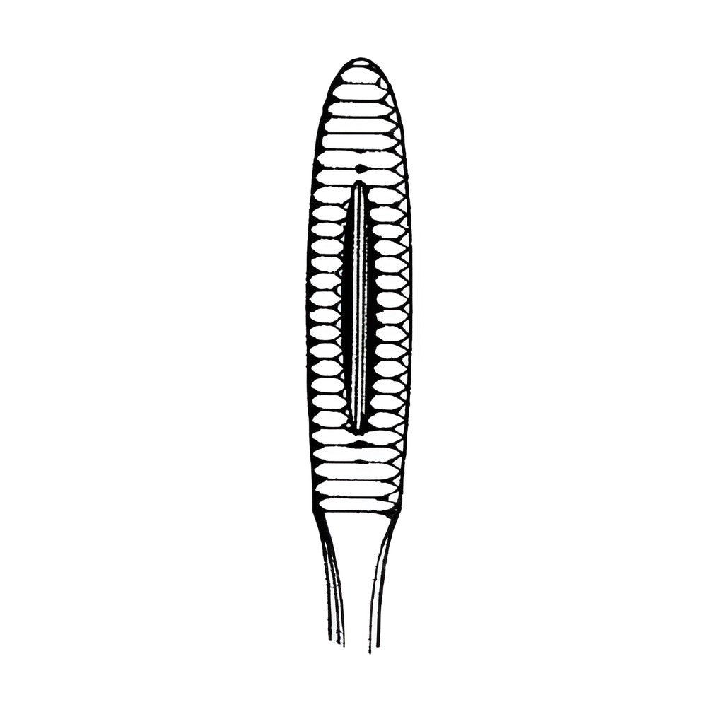 Zepf Kornzangen – Zepf Medical Instruments